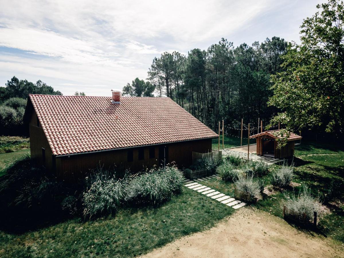 La Maison des Pins contis - B&B Saint-Julien-en-Born