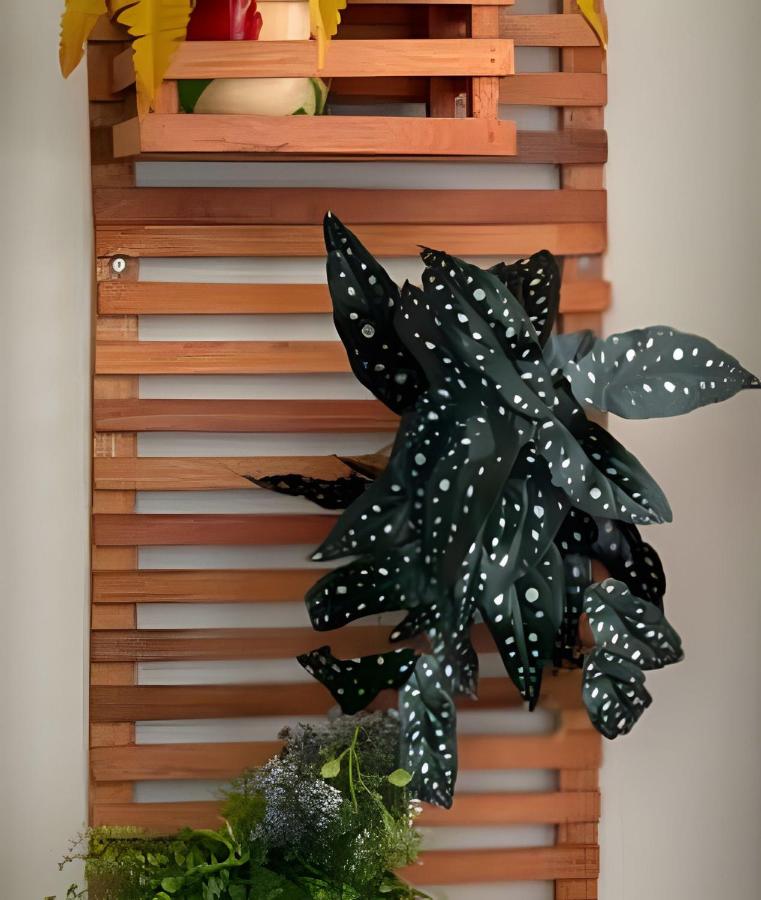 Chic retrô no Flamengo - B&B Rio de Janeiro