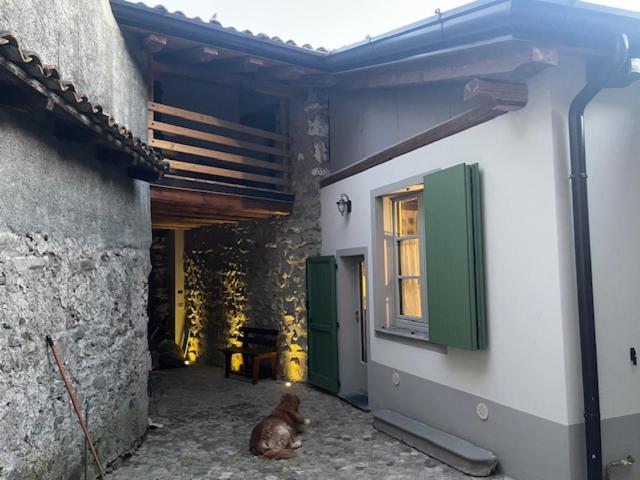 La Cà di Tonia e Abigaille - B&B