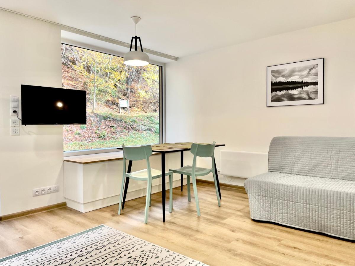 Studio with Terrace