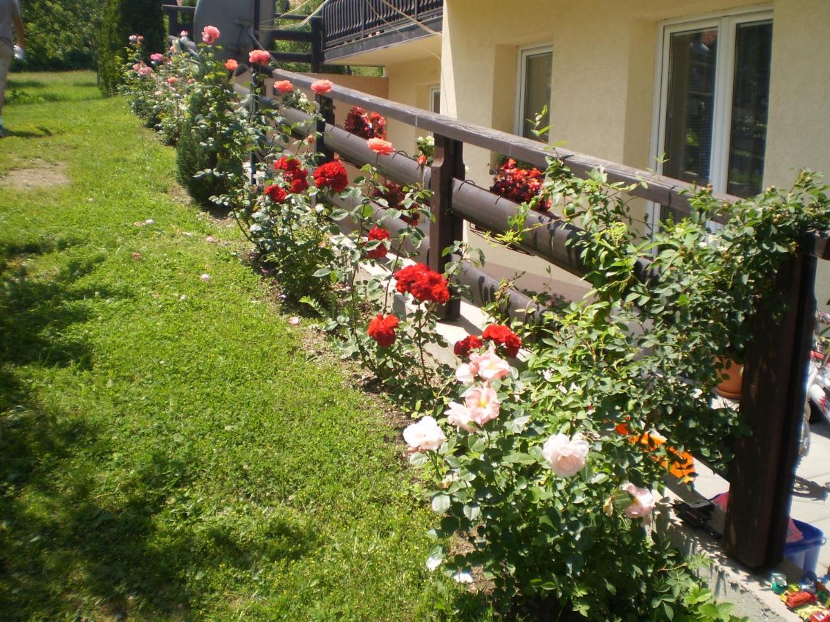 B&B Zlatibor - Apartments Vila Velickovic - Bed and Breakfast Zlatibor