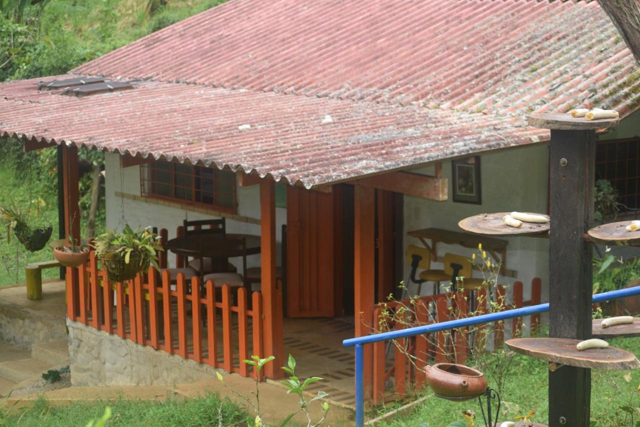 Finca la soñada - Chambres d’hôtes Dagua