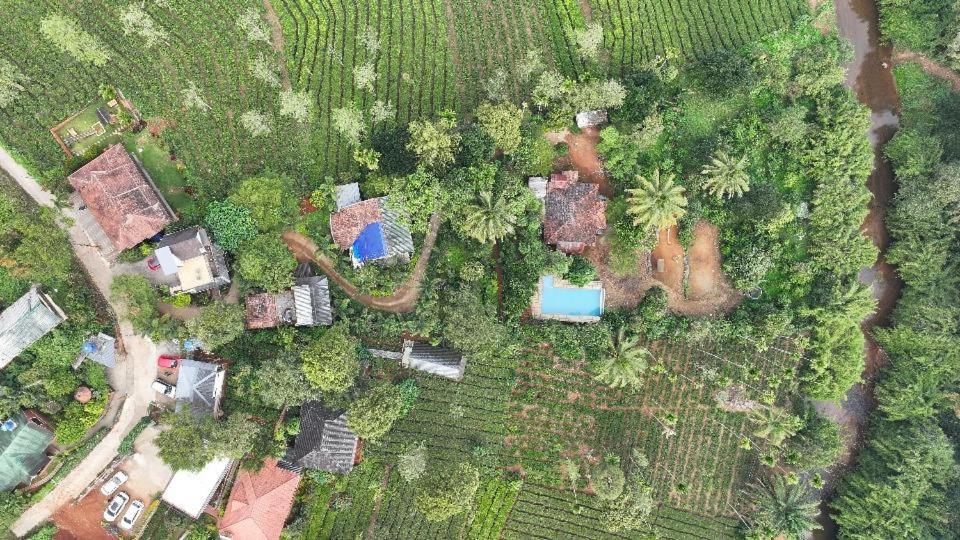 Vythiri Hill Palace - B&B Vythiri