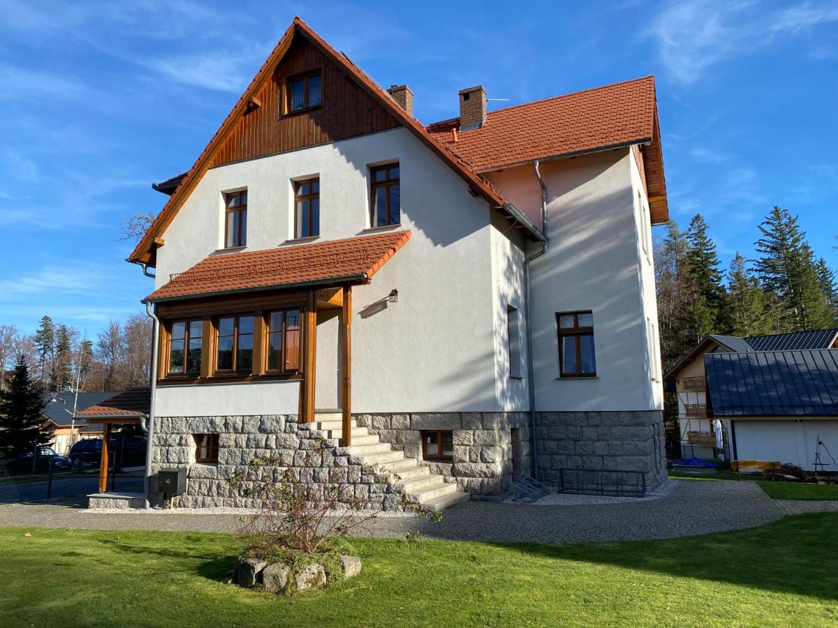 Willa Dzika Róża - B&B