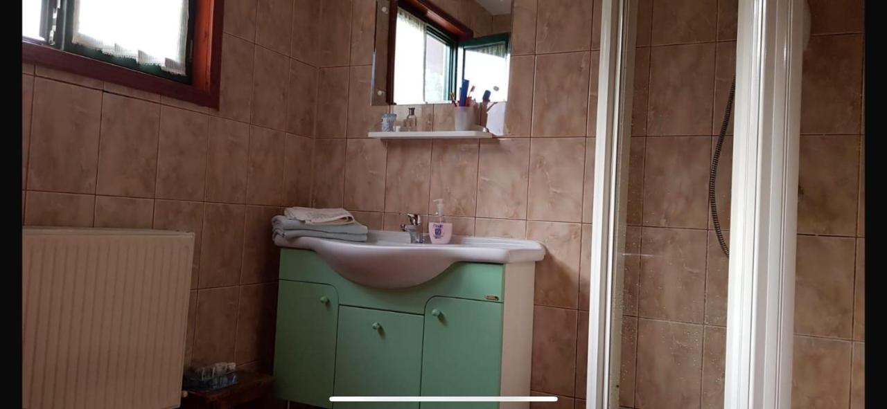 Vila Ariana - B&B Țibăneștii Buhlii