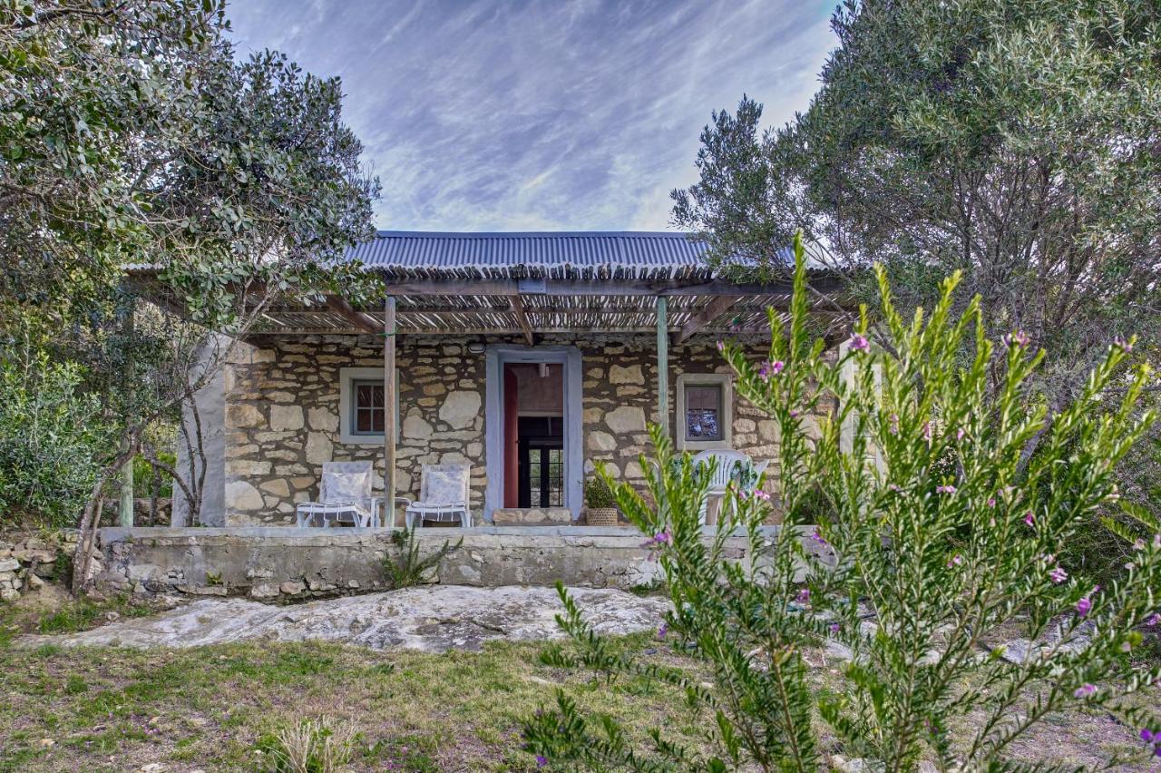 Basic Cottage