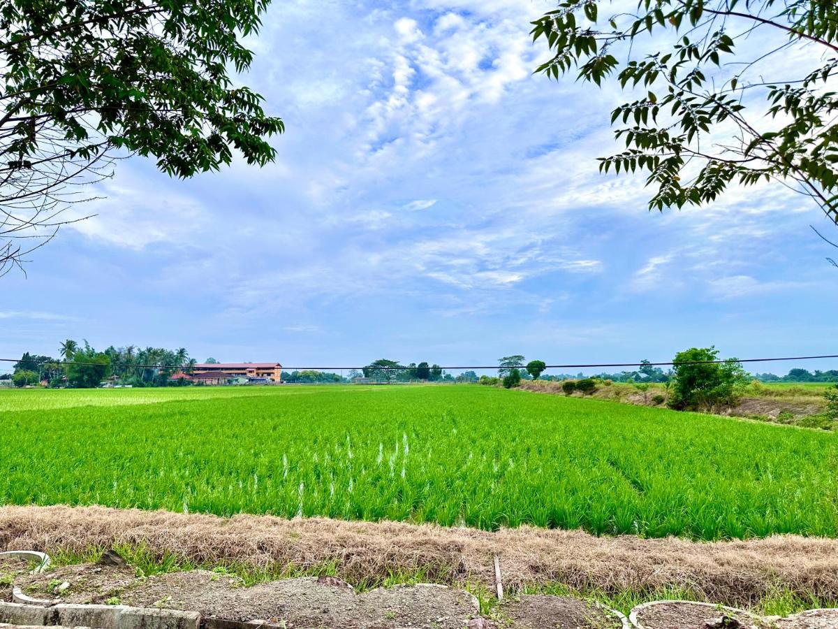 Aila Homestay TTHI - Chambres d’hôtes