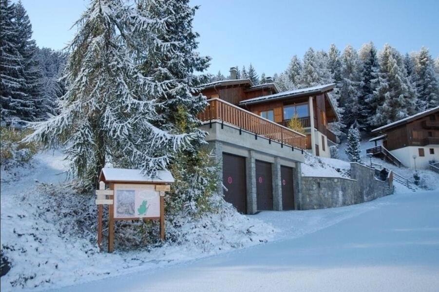 Les Verdons - Chalet Bellevue Domaine La Plagne - B&B Mâcot-la-Plagne