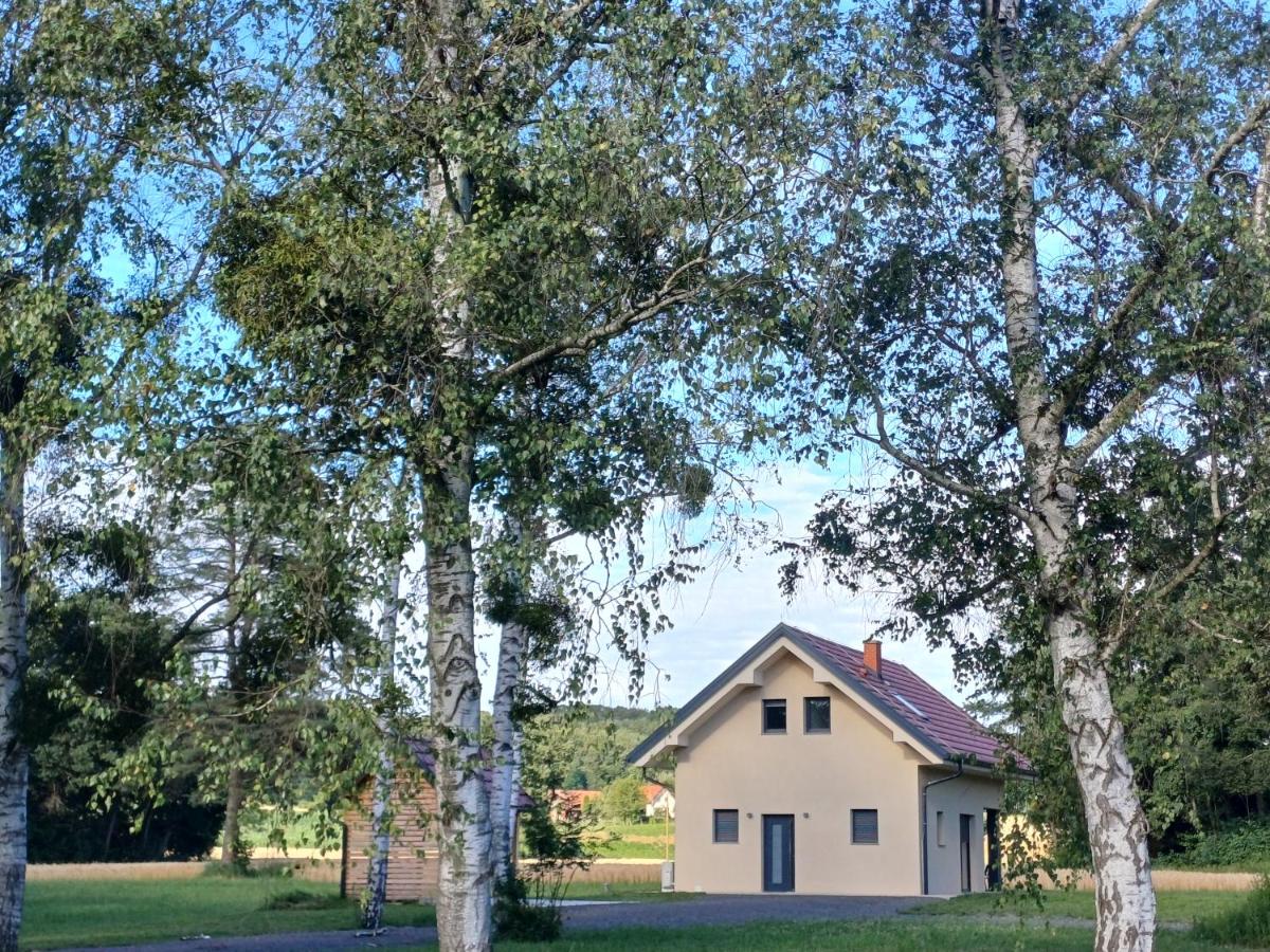 Hiša Štolc - B&B Gornja Radgona