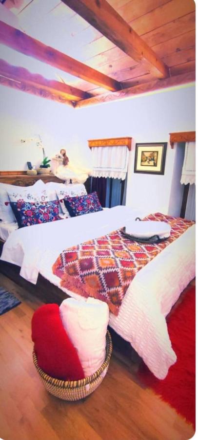 Ela's Chalet in Old Bazaar Gjirokaster - B&B Gjirokastër