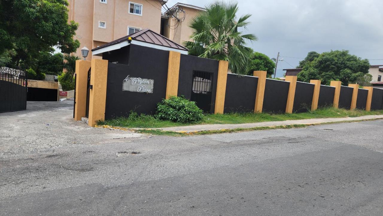 Central Upscale New Kingston Apt with pool - B&B Kingston