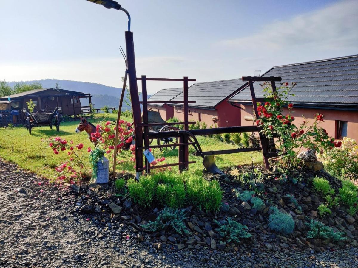 Agroturystyka Faron - B&B