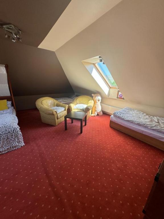 Agroturystyka Alpakolandia Góra Szybowcowa - Chambres d’hôtes Jeżów Sudecki