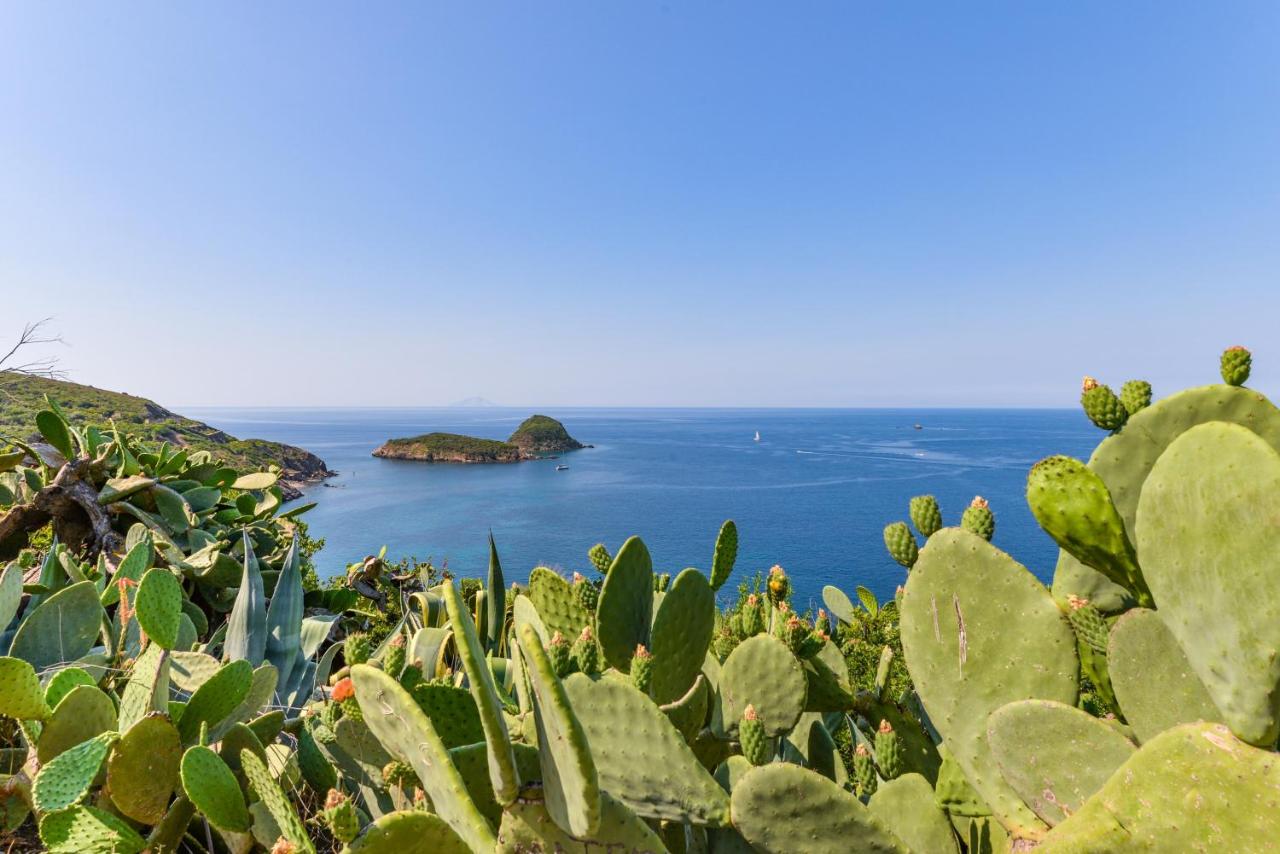 Casa Zullo B5 - B&B Palazzo