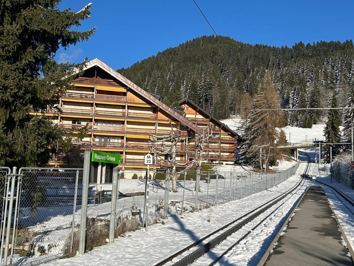 Central flat in Villars sur Ollon, Amethyste, for 4, with two double beds, balcony and 75m to ski-train - B&B