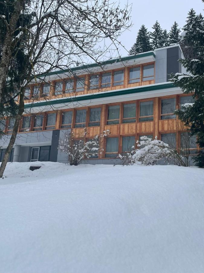 Amba Chalet Famiglia Cima - Trilocale 6 posti letto - Ferienwohnung Mezzana