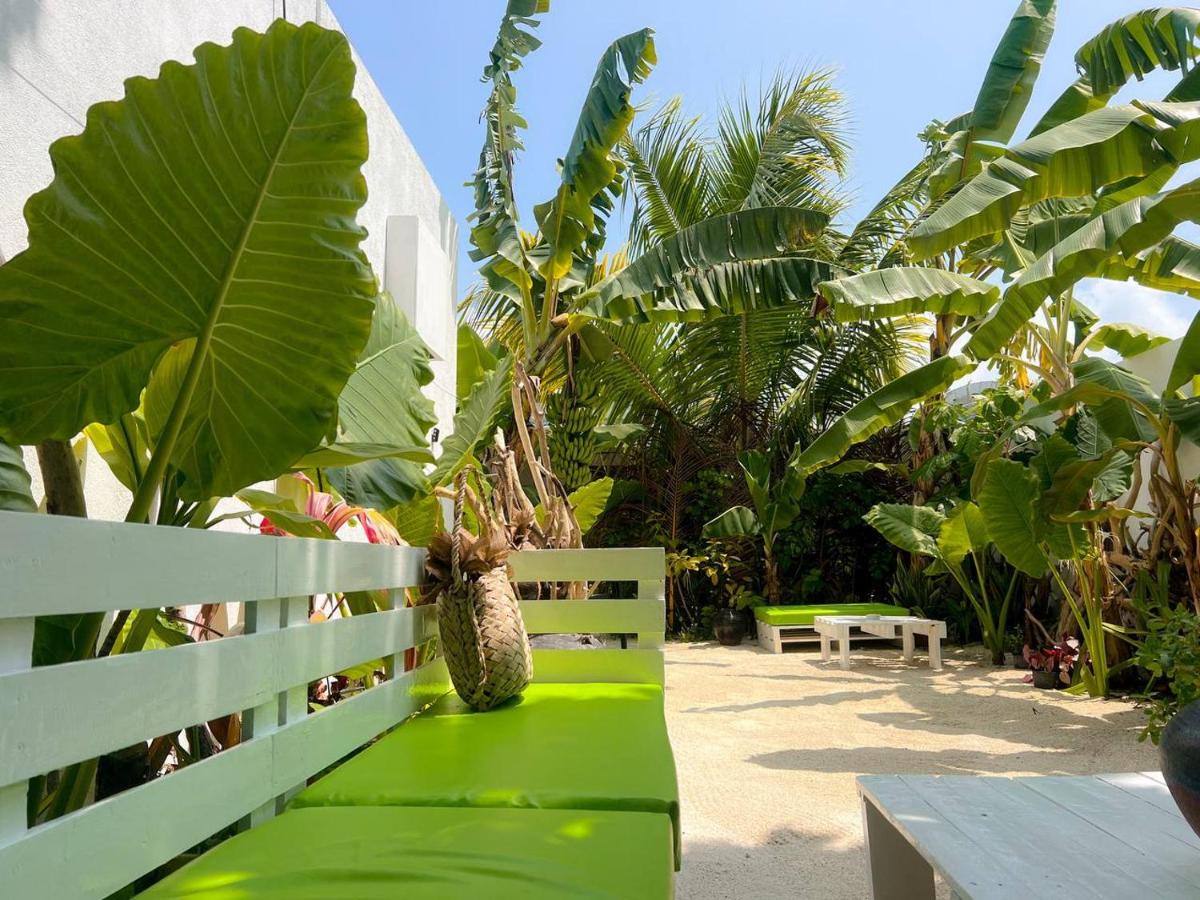 Veli garden thoddoo - Chambres d’hôtes Thoddoo