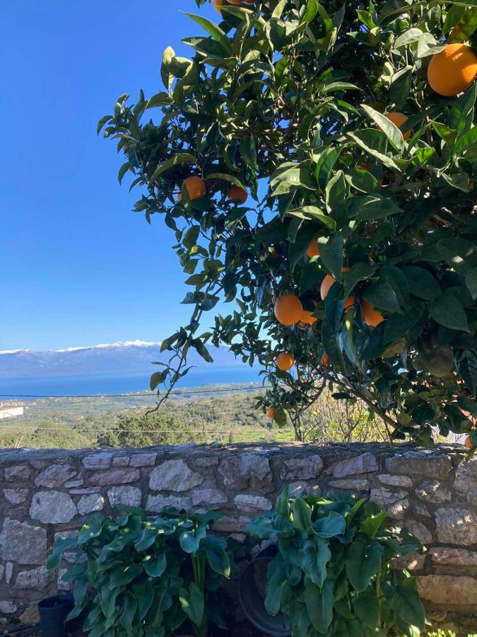 Apartment Areti - B&B