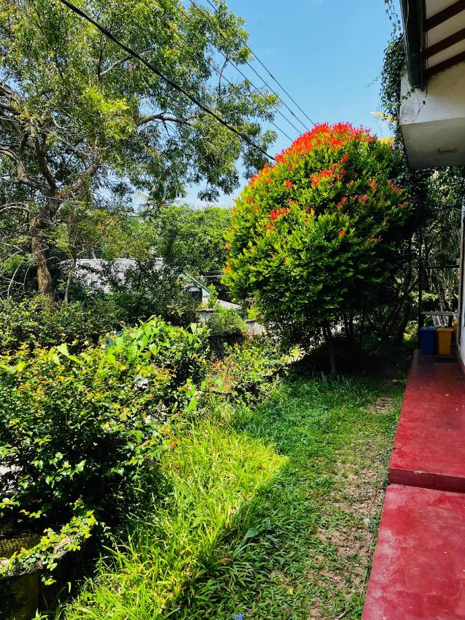 Waveside Villa - Ferienwohnung