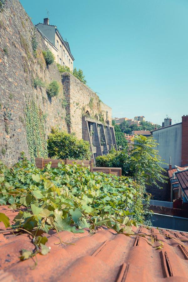 Appartement avec terrasse - B&B Lione