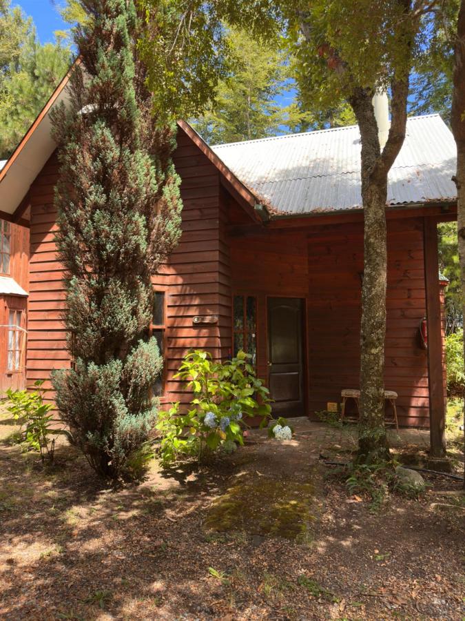 Cabañas Los Rehues - Ferienwohnung Pucón