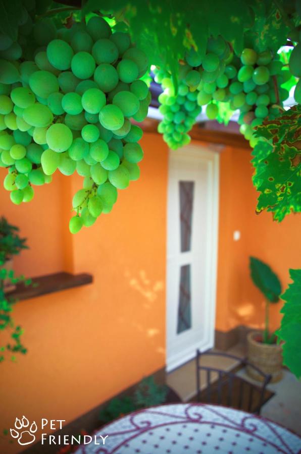 Apartment with Garden View