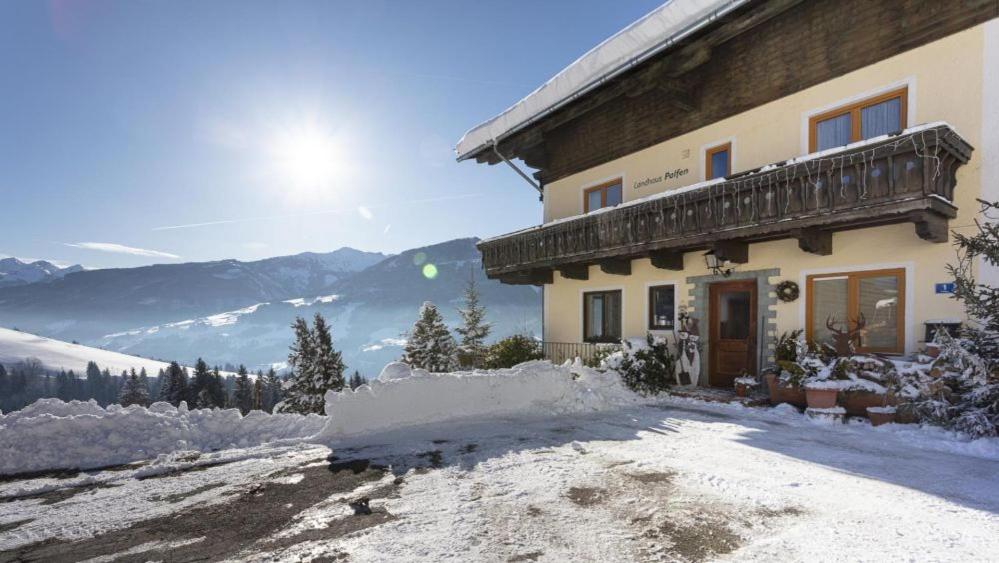 Energieparadies Palfenhof - B&B