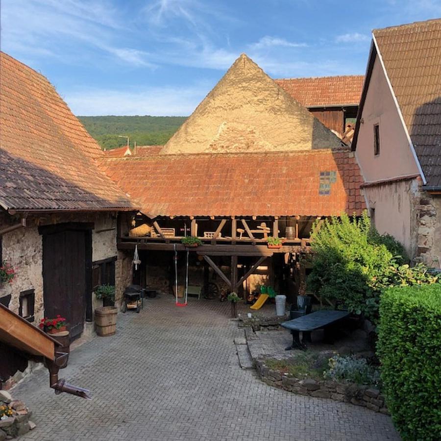 Gite du Val du Pâtre - B&B