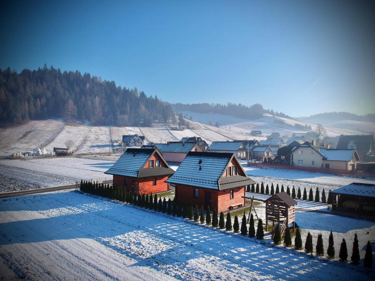 Pod Świerkami - Ferienwohnung Kacwin