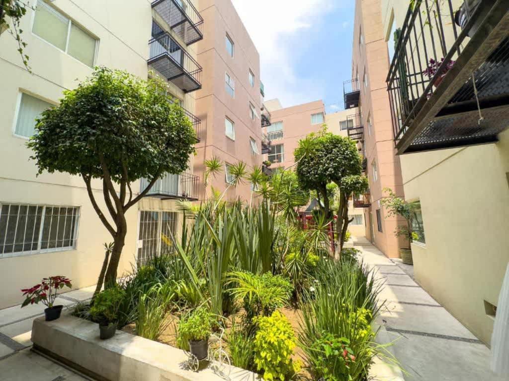 Adam's home with high-speed Internet near Polanco - B&B