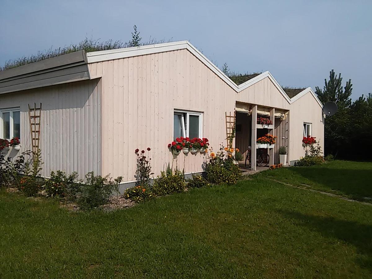 Domki Przy Pracowni - B&B