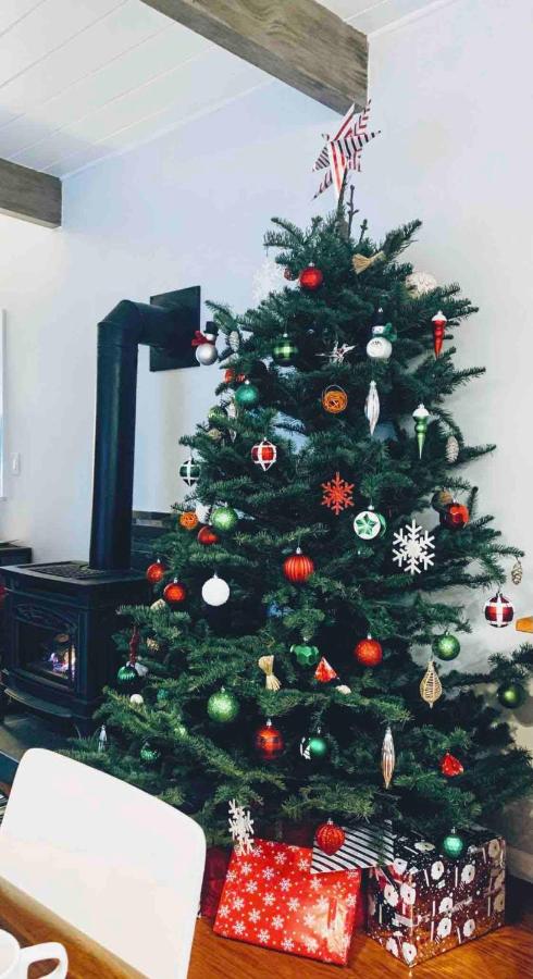 Remodeled spacious 2Bdr2Bath King beds backyard - B&B San Jose