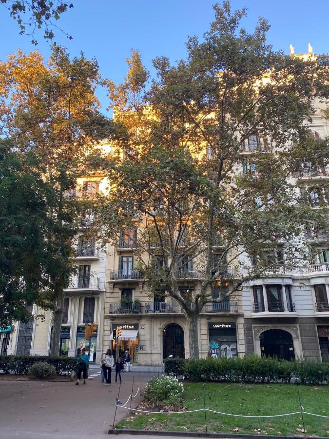 Unique central home with large terrace & pool - B&B Barcelona