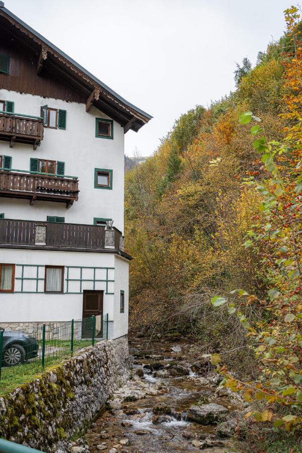 Familienglück in St Wolfgang - Ferienwohnung