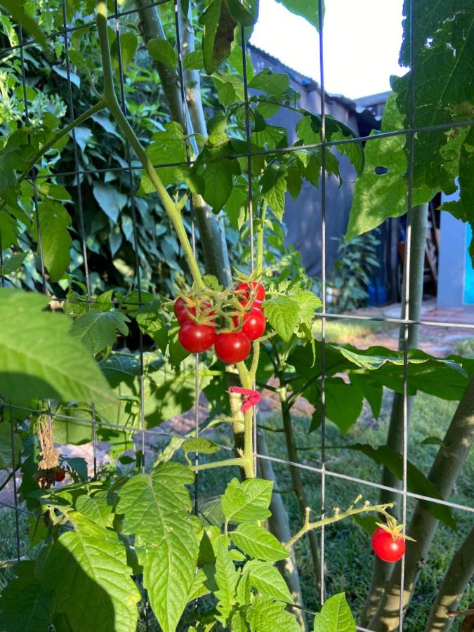 Flor de Canela 1 - B&B