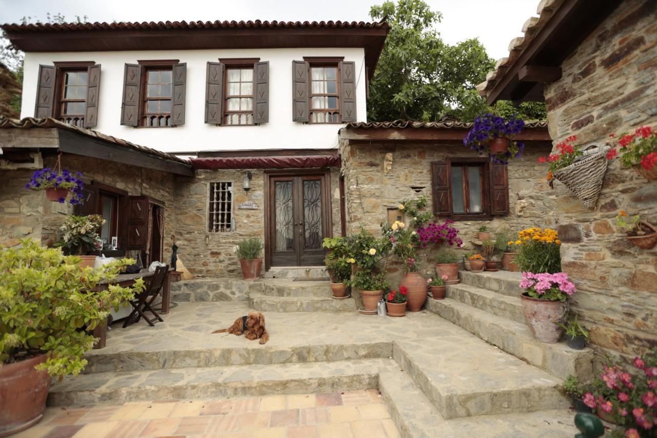 Two-Bedroom Olive Cottage with Village View