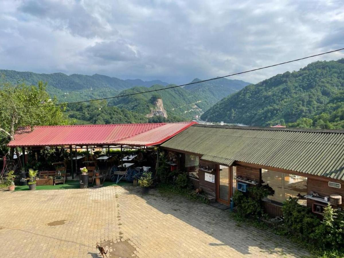 ASİL 101 Karadeniz kuş cenneti - B&B