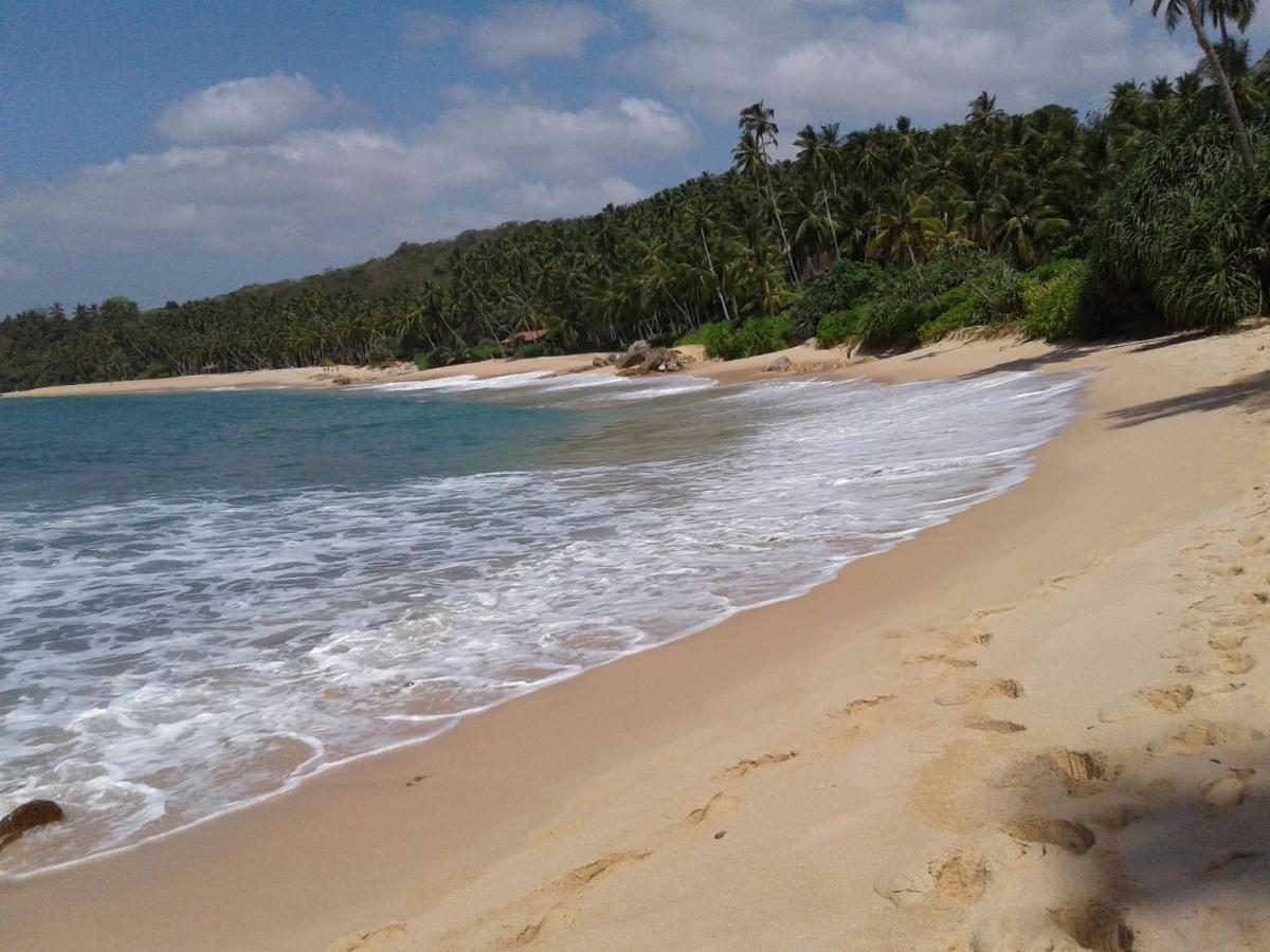 Sea Breeze Garden - B&B Tangalle