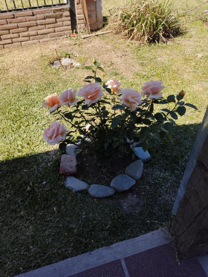 Casa en San Pedro de Colalao - B&B