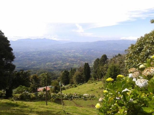 Villa Elena - B&B