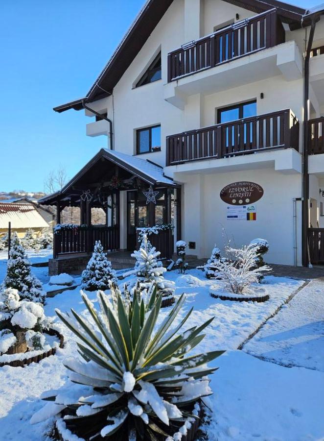 Pensiunea Izvorul Liniștii - Bed and Breakfast