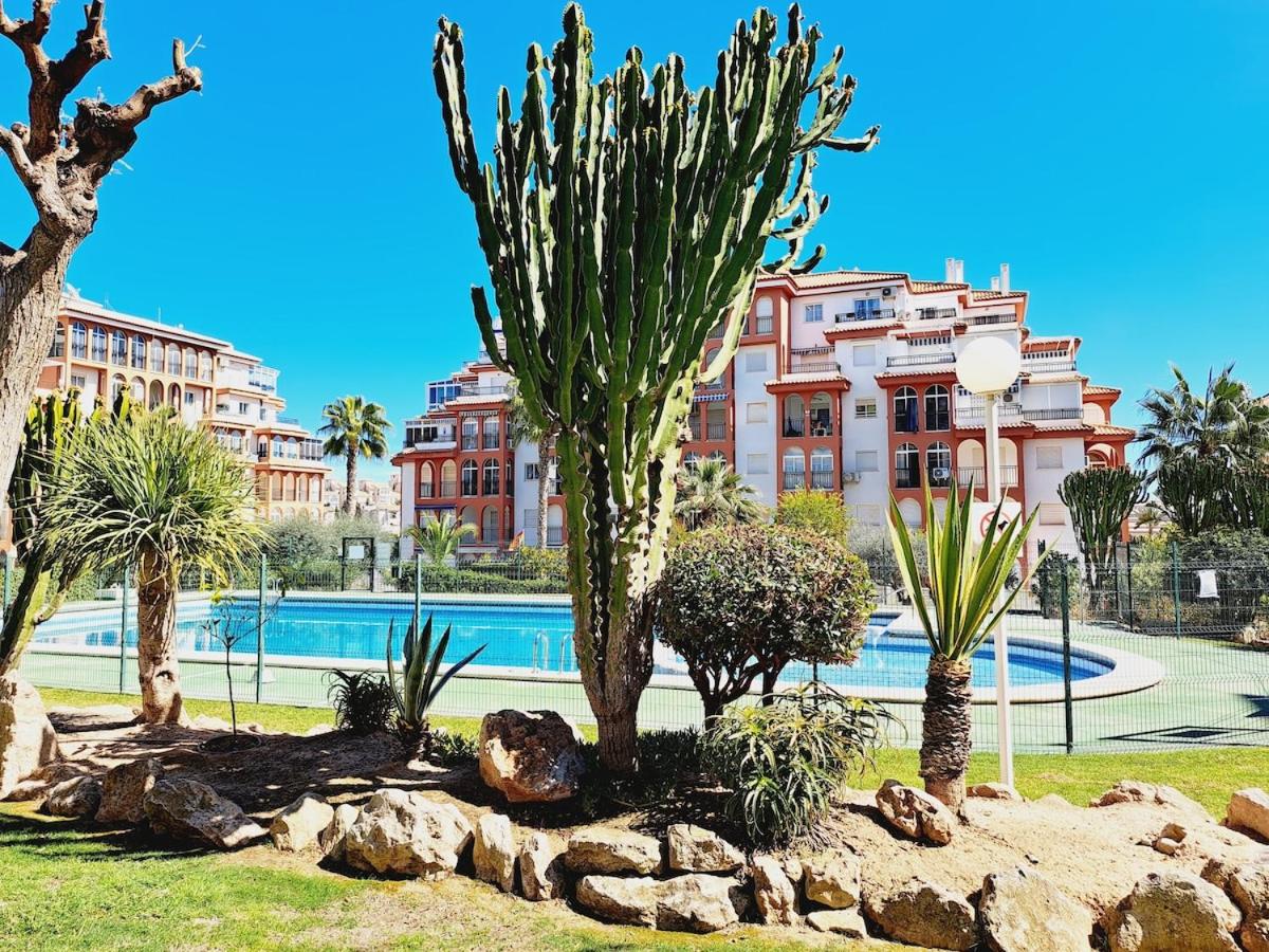 House with palm tree - B&B Torrevieja