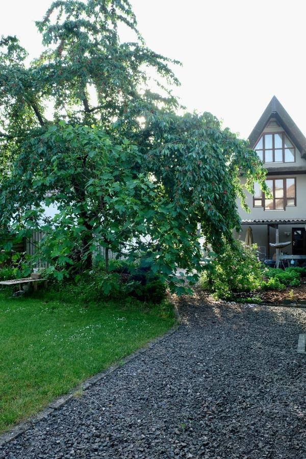 Ferienwohnung in charmantem Fachwerkhaus - B&B Altrip