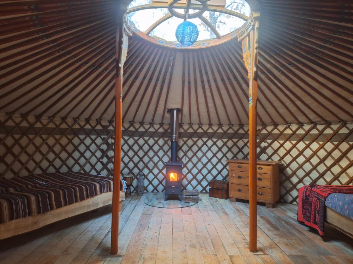 Jurte für naturliebhaber - B&B