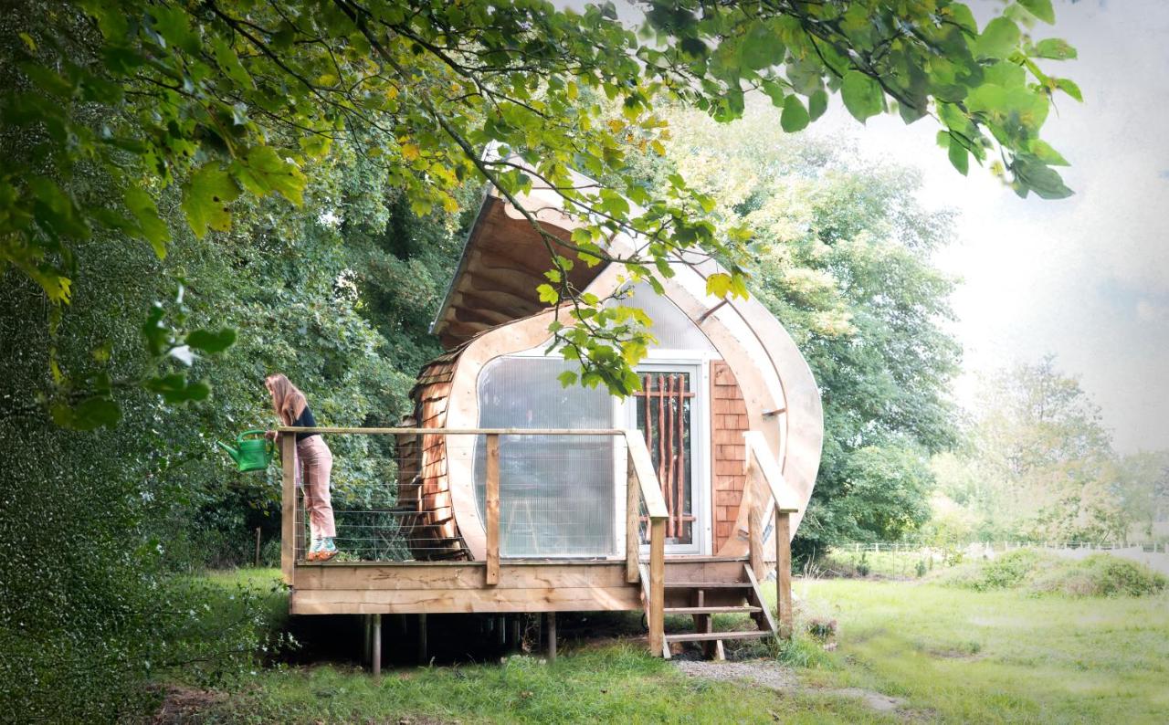 Unique Monocoque Cabin Stunning Woods Canal Views - B&B