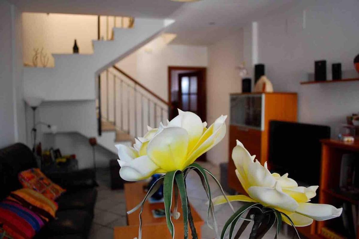 Wallada Río - B&B