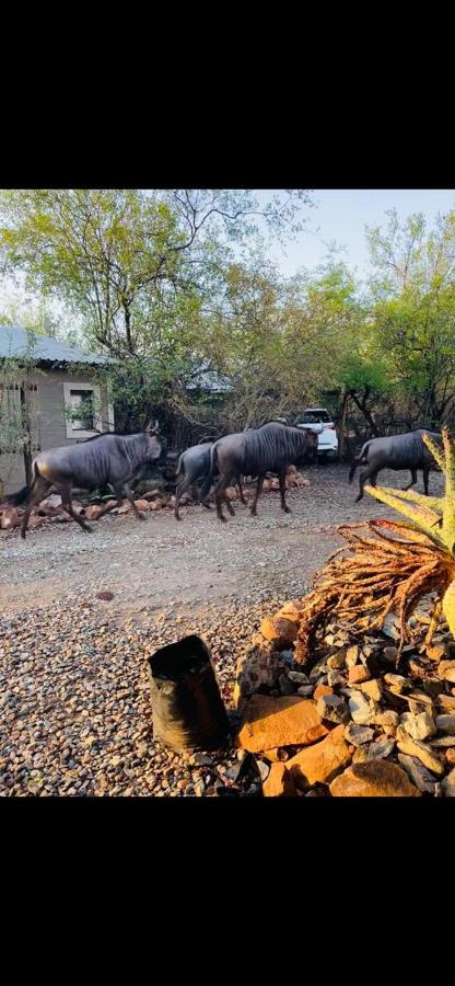 Shiringa kruger lodge - B&B