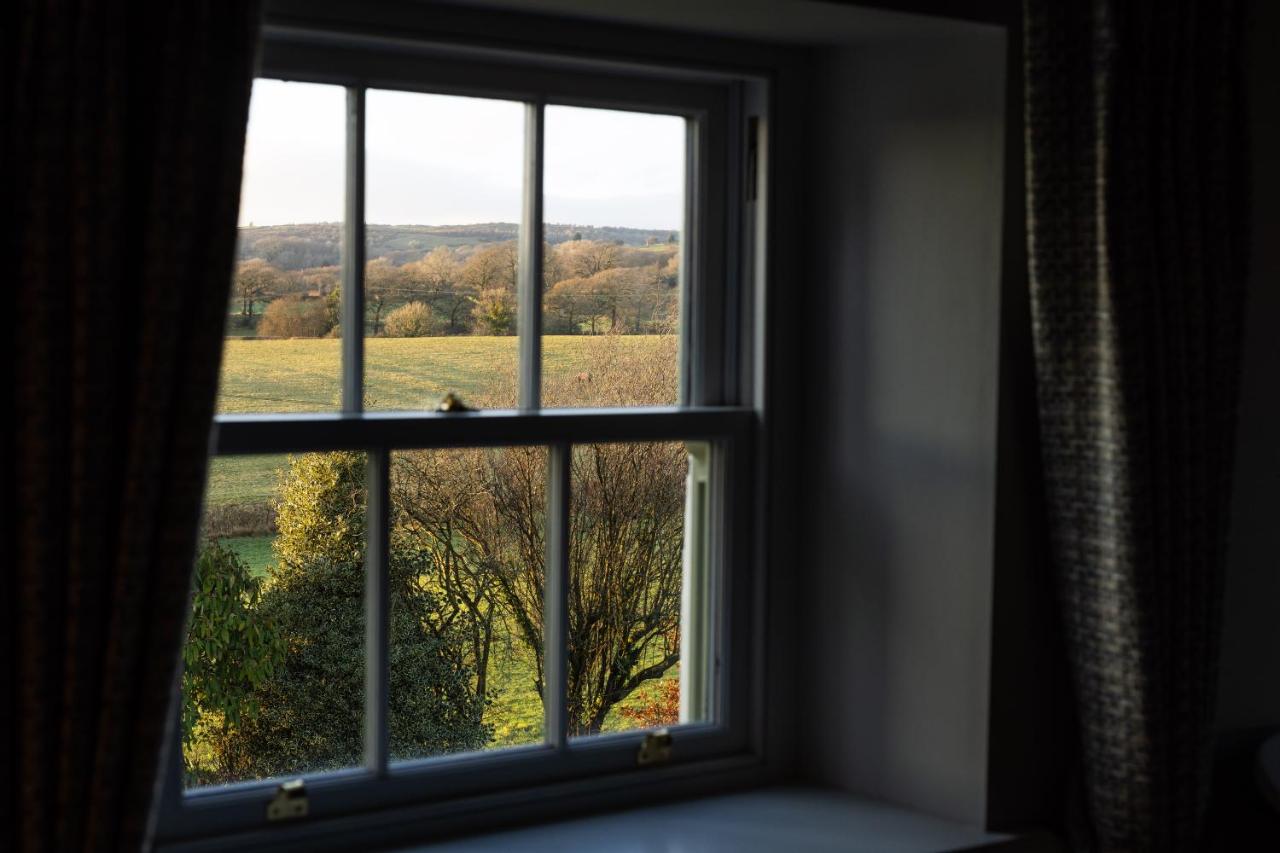 Camera King Superior 