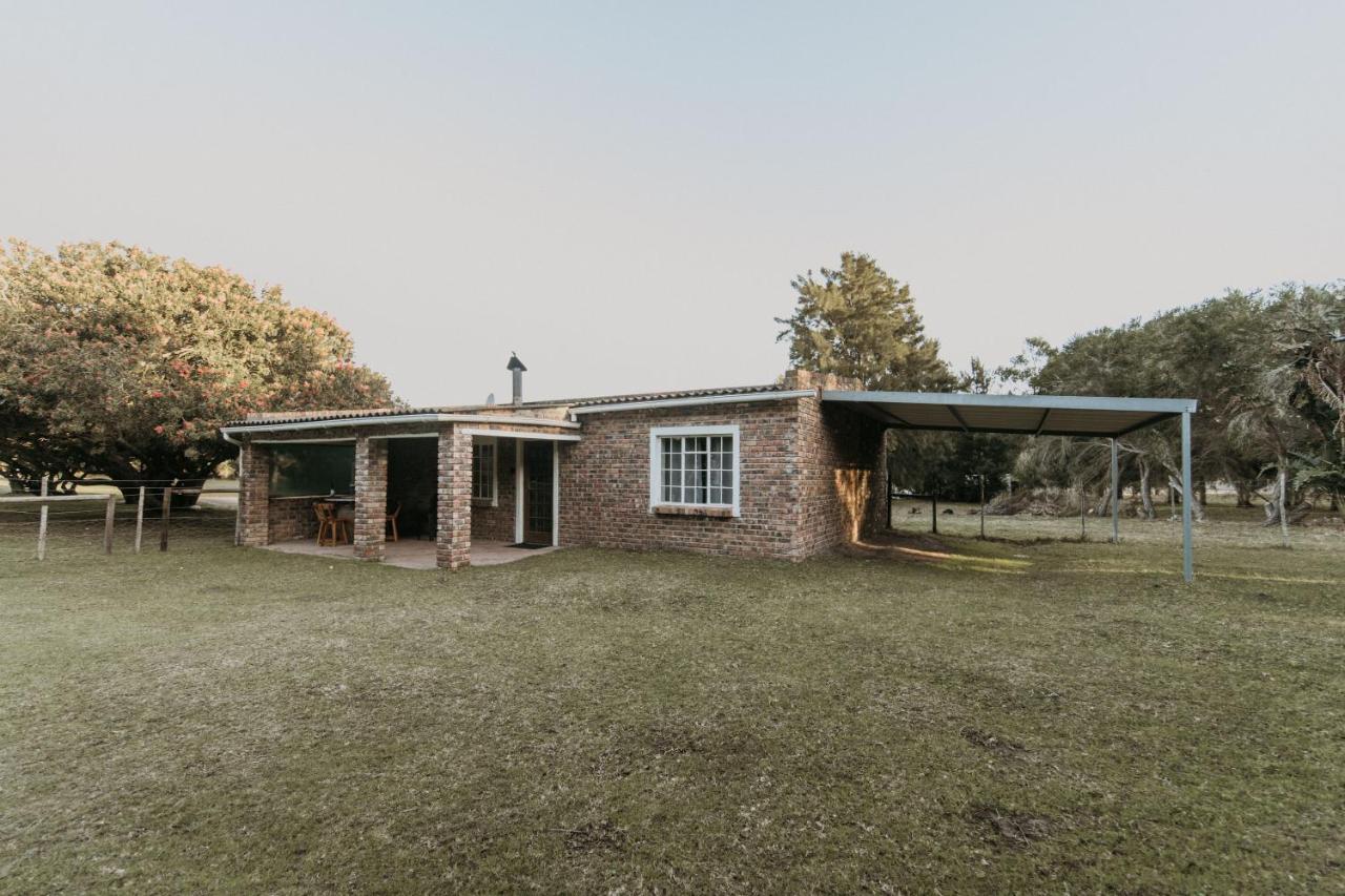 Wild Paradise Farmstay - B&B