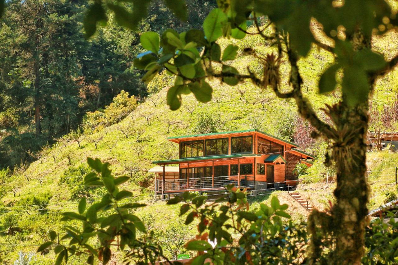 Casa Buena Vista San Gerardo de Dota - B&B San Gerardo de Dota